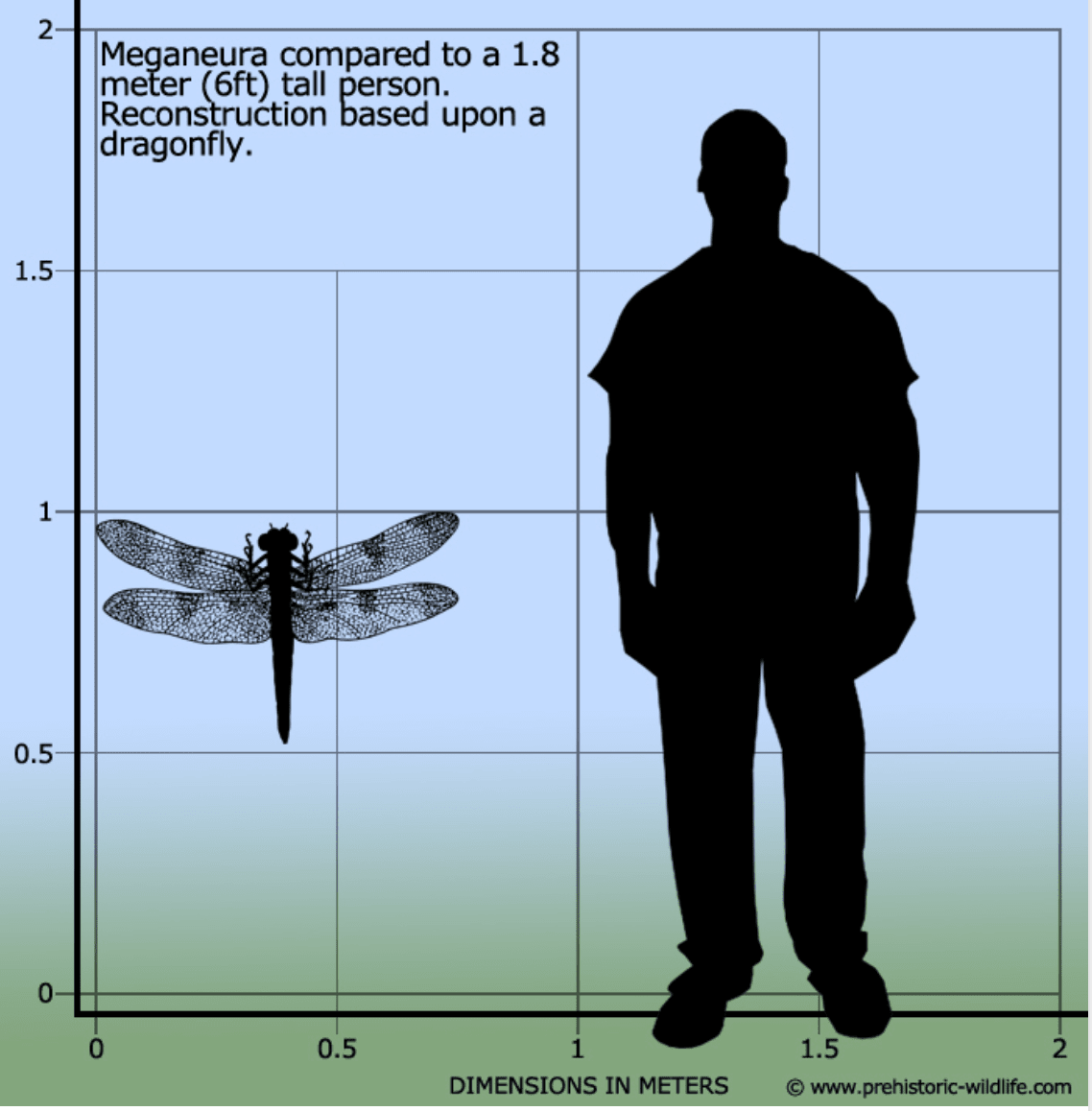 https://bram-adams.ghost.io/content/images/2023/03/big-dragonfly-for-scale.png