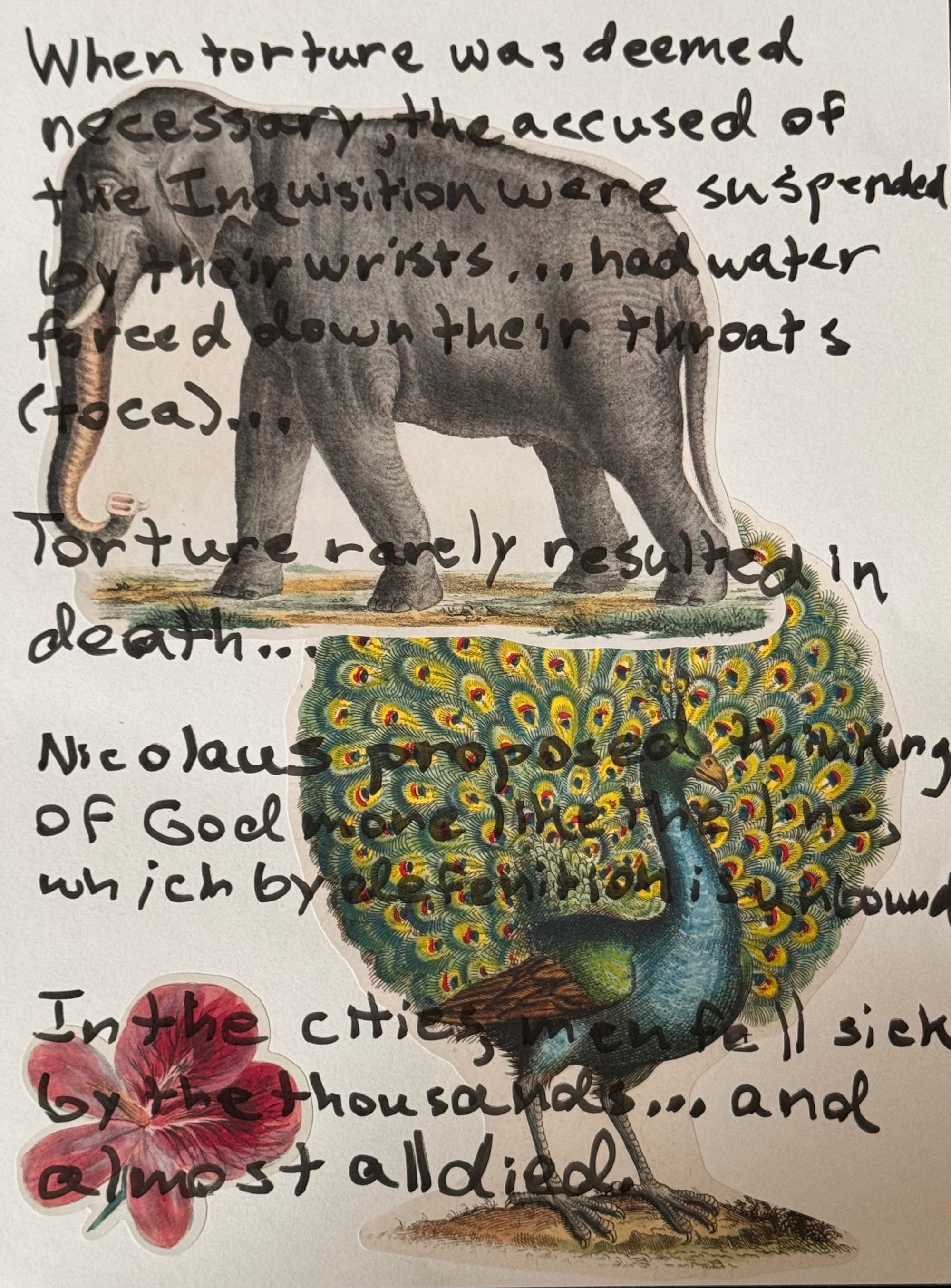 From Toca to Trocars