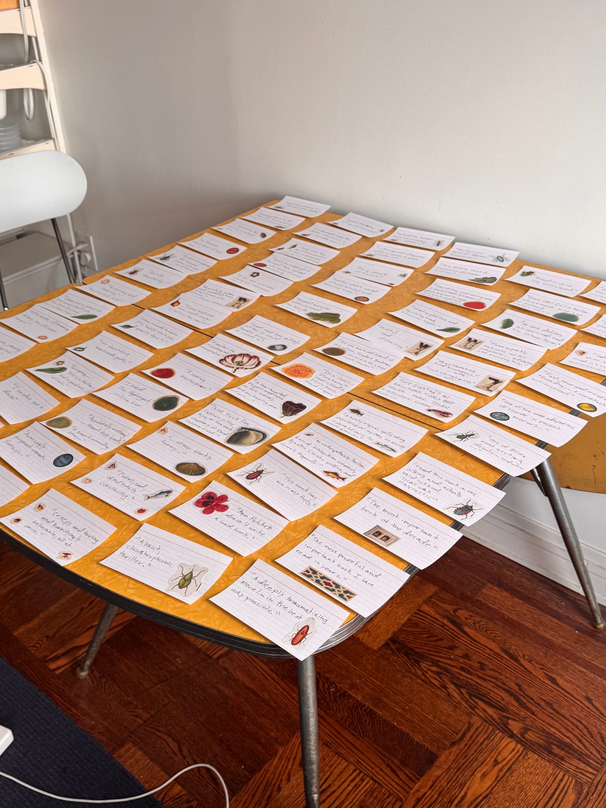 Book Jacket Halloween Costume