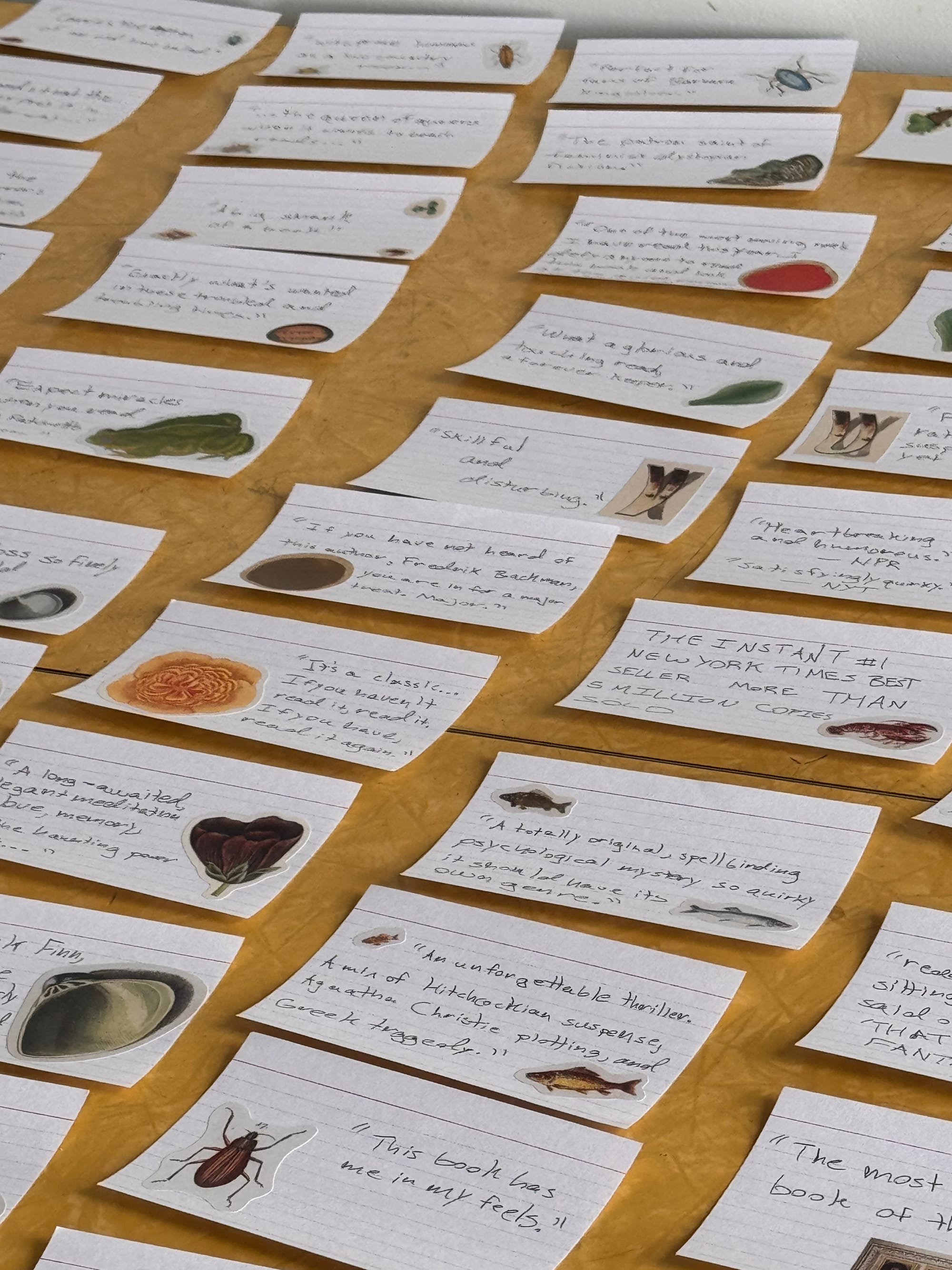 Book Jacket Halloween Costume