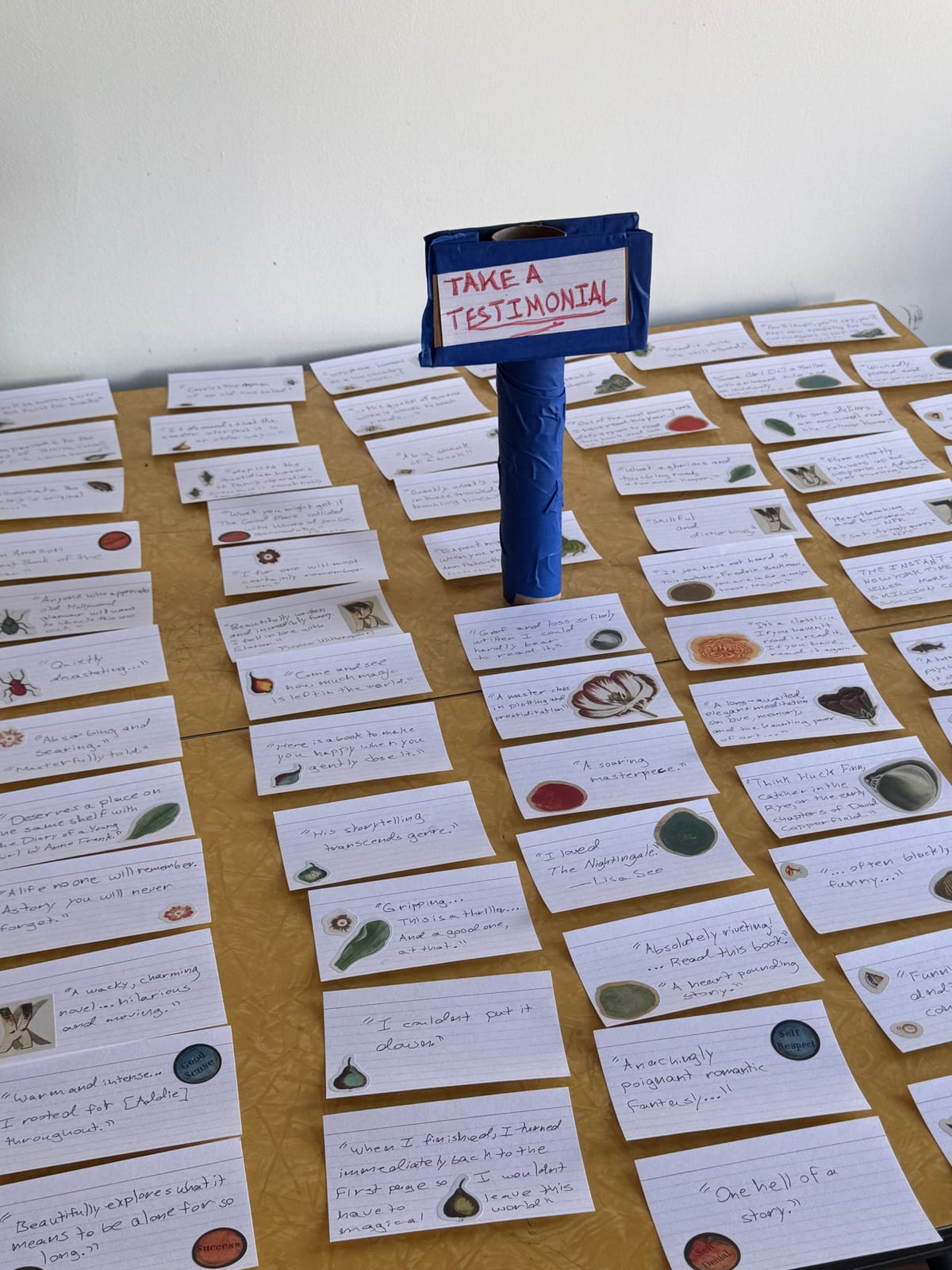 Book Jacket Halloween Costume