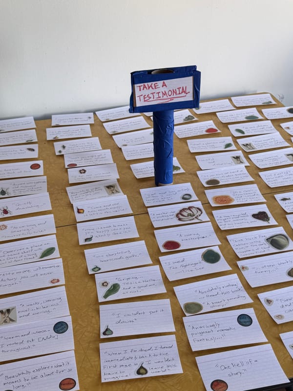 Book Jacket Halloween Costume